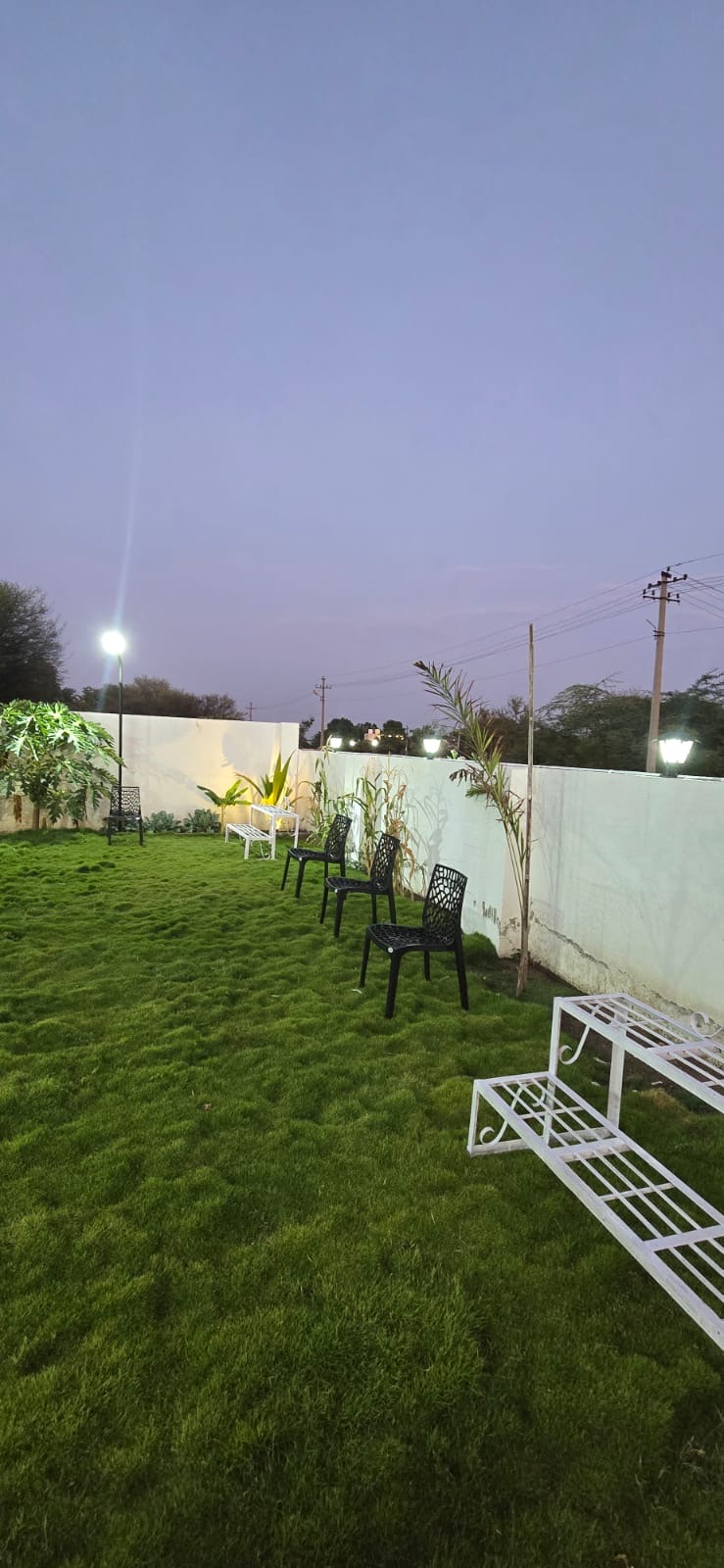 Garden 3